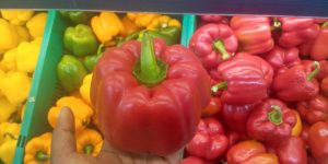 Red bell pepper 