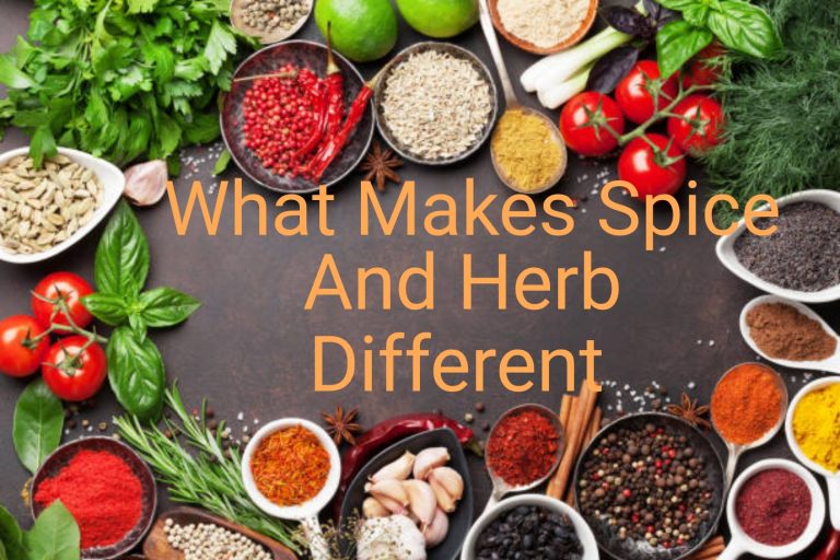 What Makes Spice And Herb Different